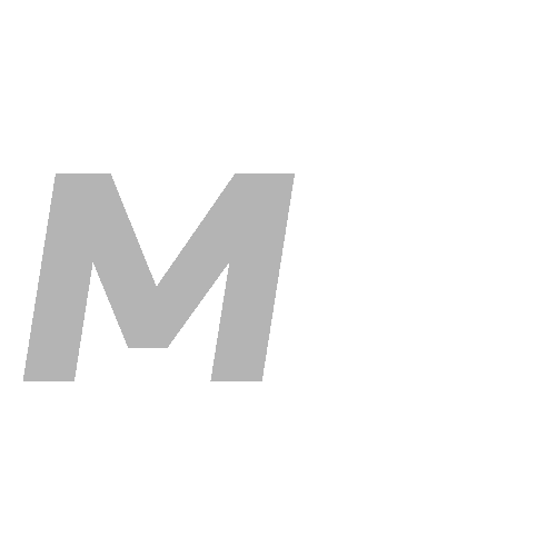 Shop Icon